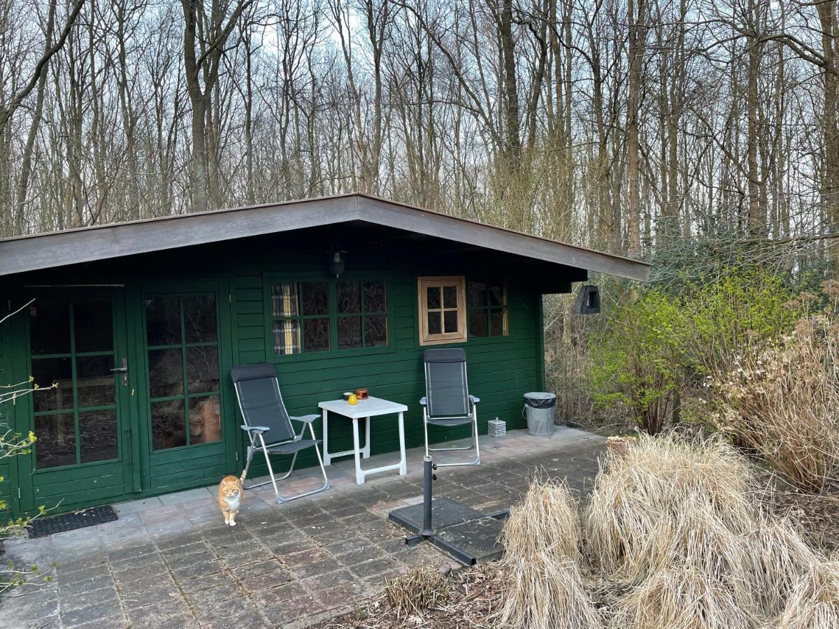 Bed and Breakfast D'Alde Pastorije Hornsterzwaag Exterior foto