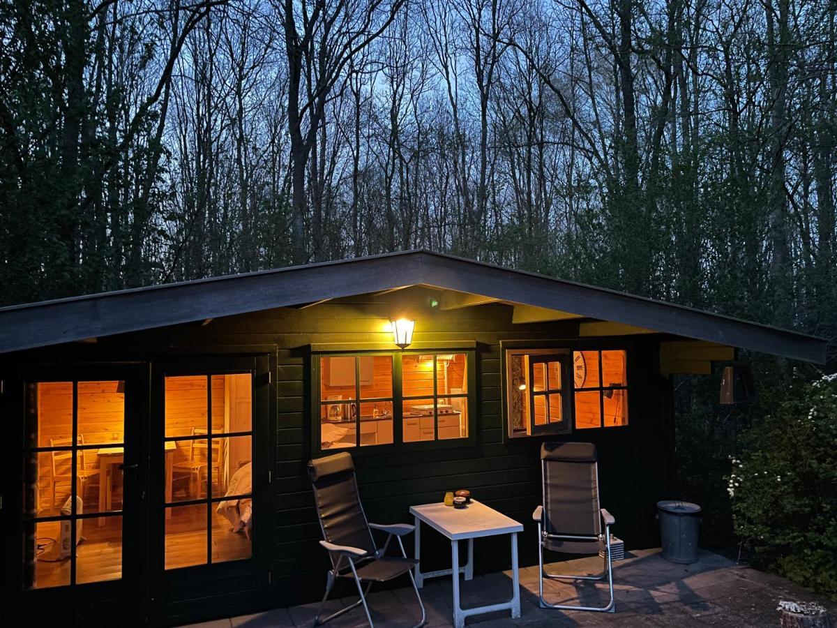 Bed and Breakfast D'Alde Pastorije Hornsterzwaag Exterior foto